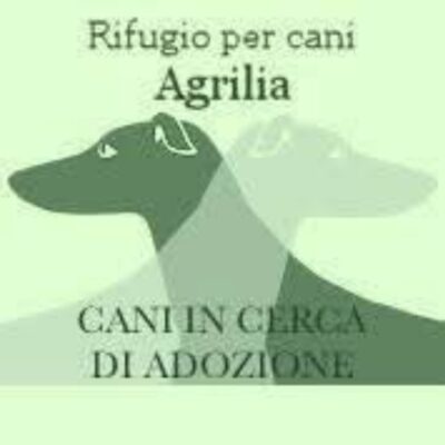 LOGO PER COPERTINA