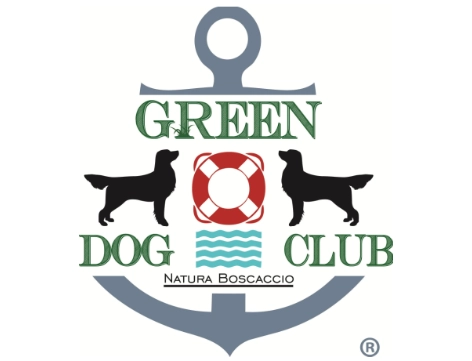 green dog